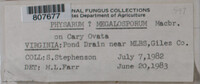 Image Associated With the Occurence